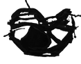 20260213_111823_edited.png