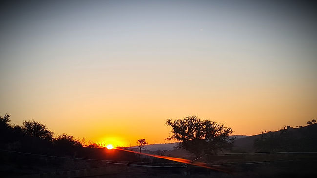 MONTECALI summersunrise.jpg