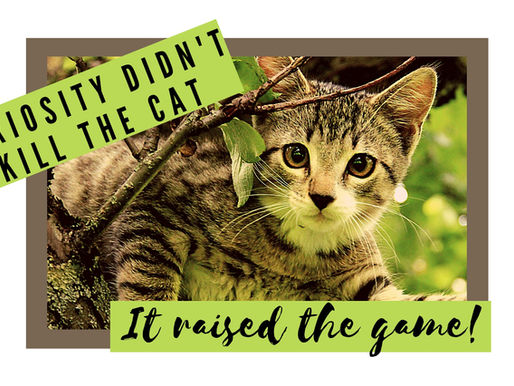 Curiosity Didn’t Kill the Cat! It Raised The Game!