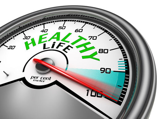 Life’s Satisfaction Indicator