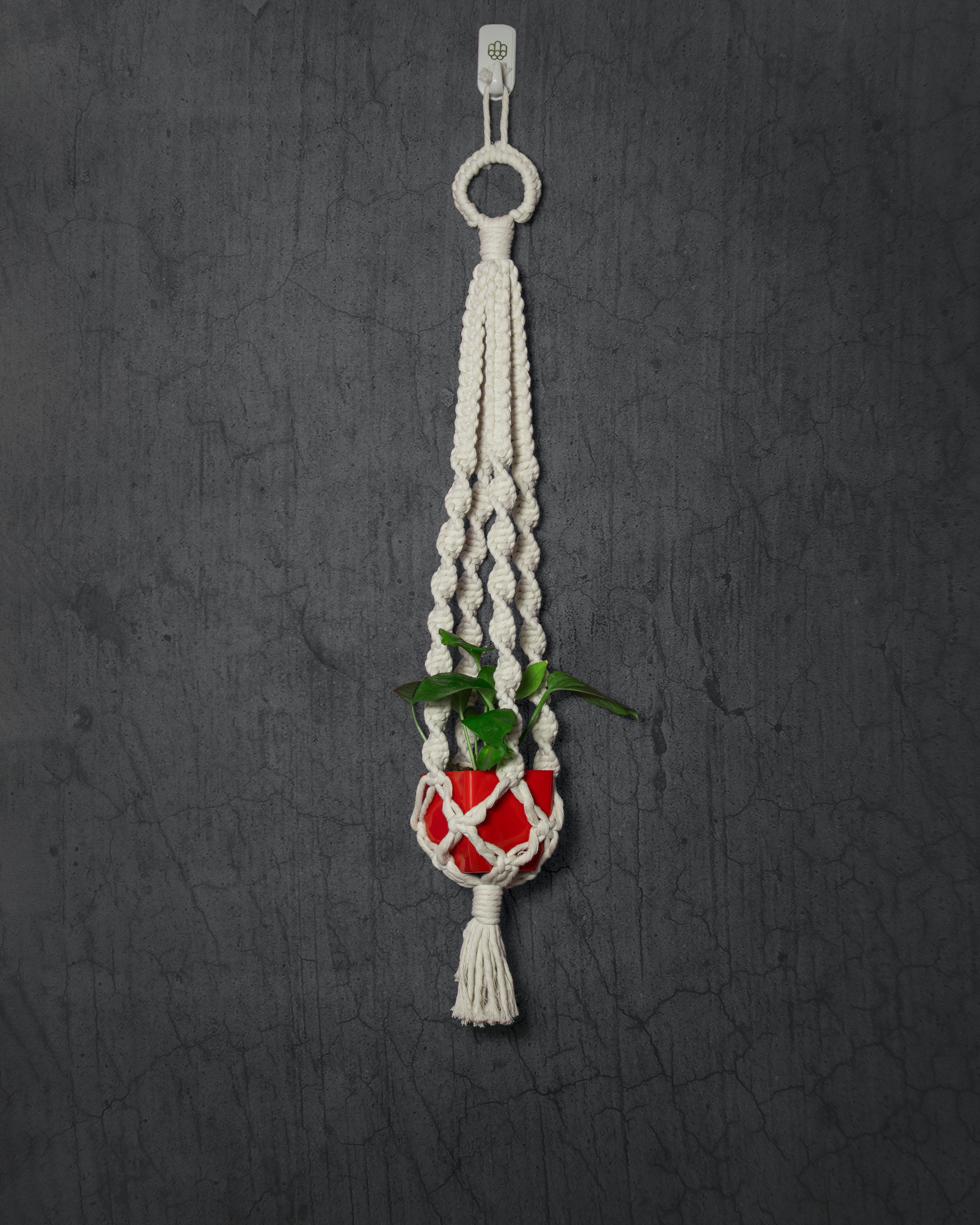 Spiral Hanging Planter