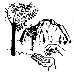 faith of a mustard seed.webp
