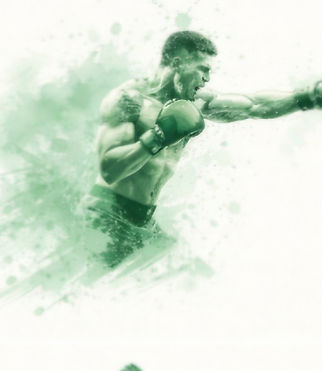 Boxer