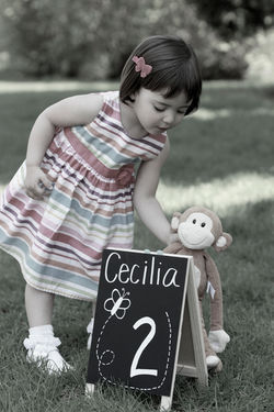 Creative Photography