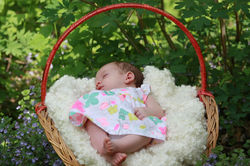 Creative Photography