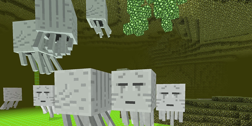 Nelson: Hui - Minecraft Education Edition for Beginners.