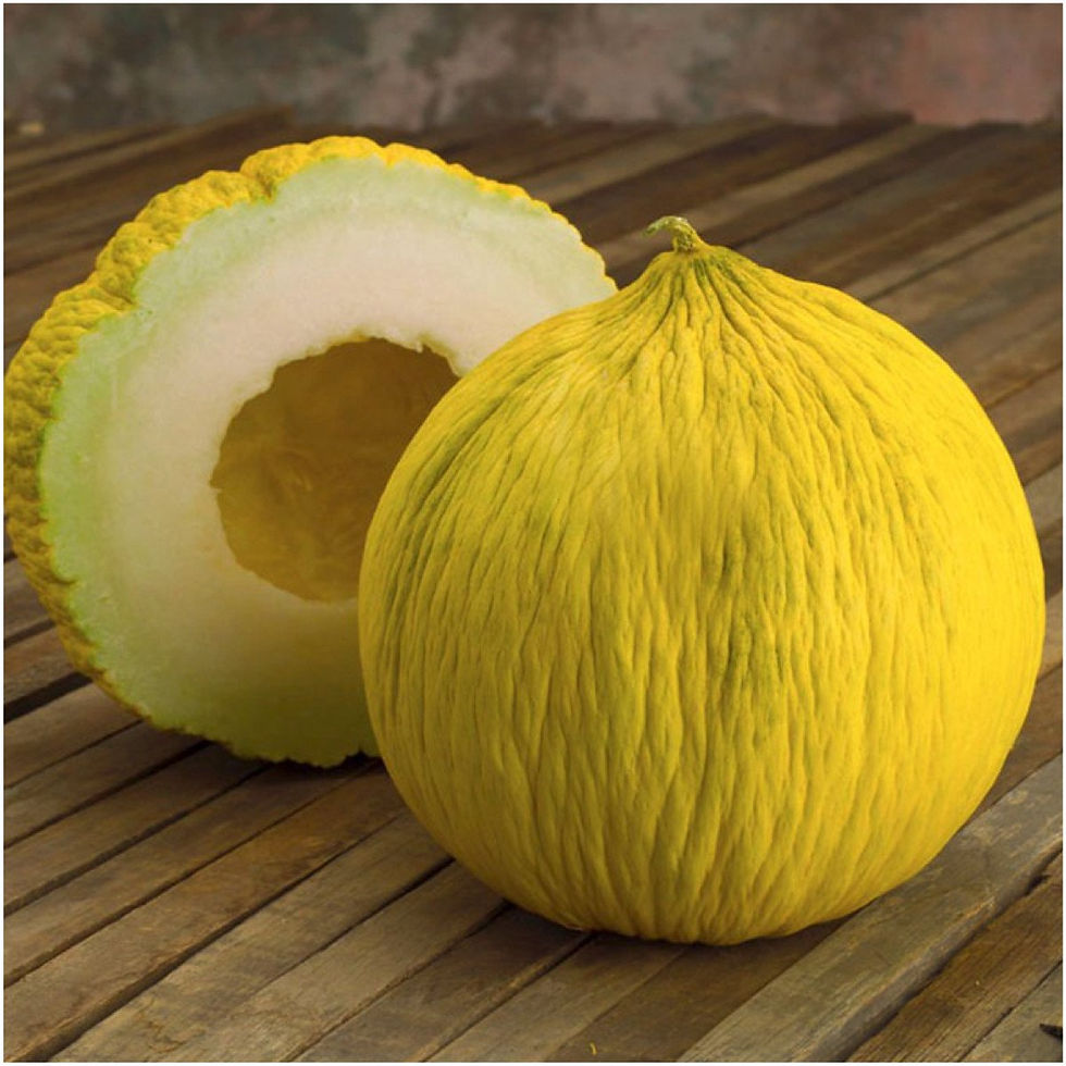 Casaba Golden Beauty Melon 35 Seeds seedbankbox