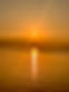 IMG_4141.jpeg