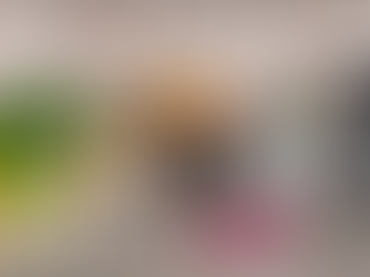 How Get A Penguin Can Be Your Foremost Choice In Opening Packaging