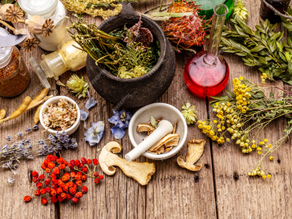 Tonic Herbs: The Everyday Plants That Quietly Change Your Life