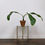 Thumbnail: Brass & Glass Plant Stand