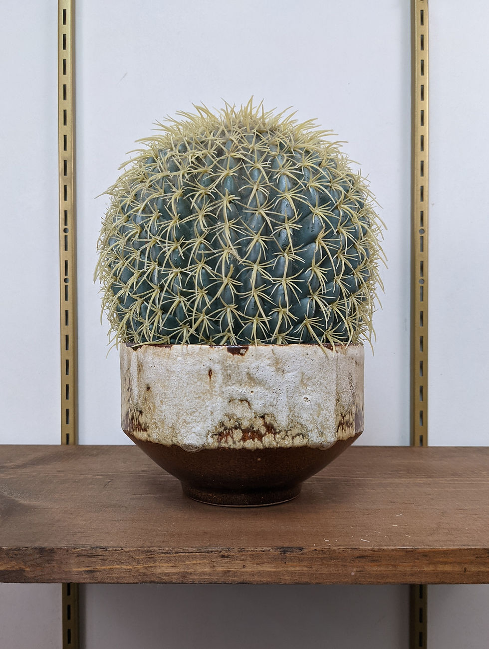Thumbnail: Ceramic Planter
