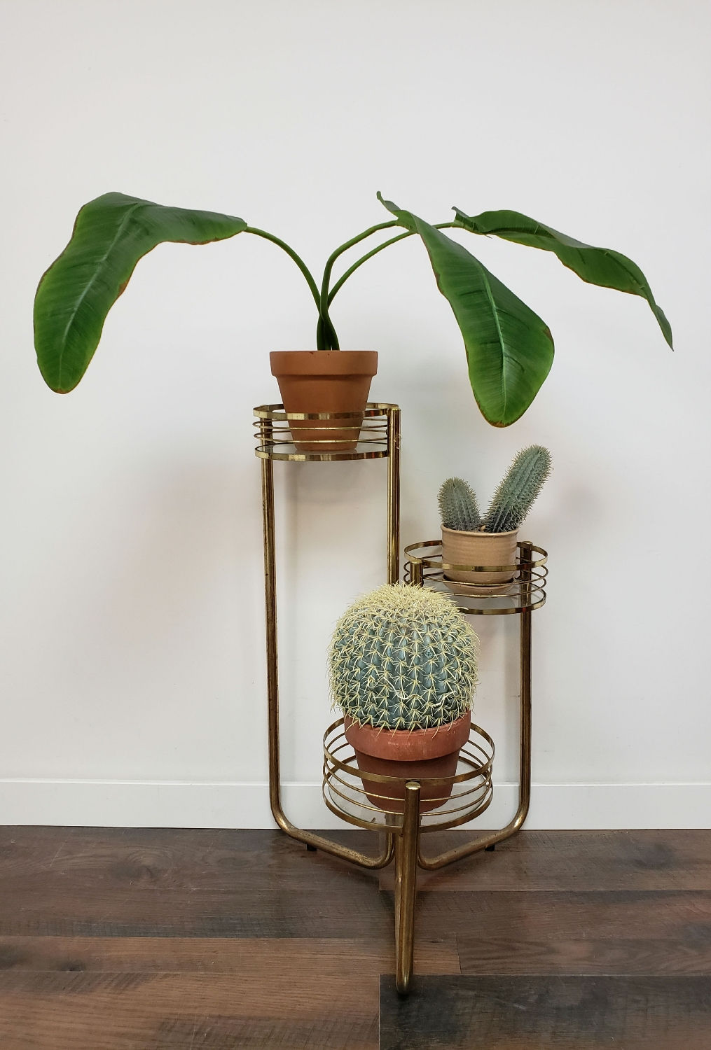 MCM Brass And Glass Plant Stand 
