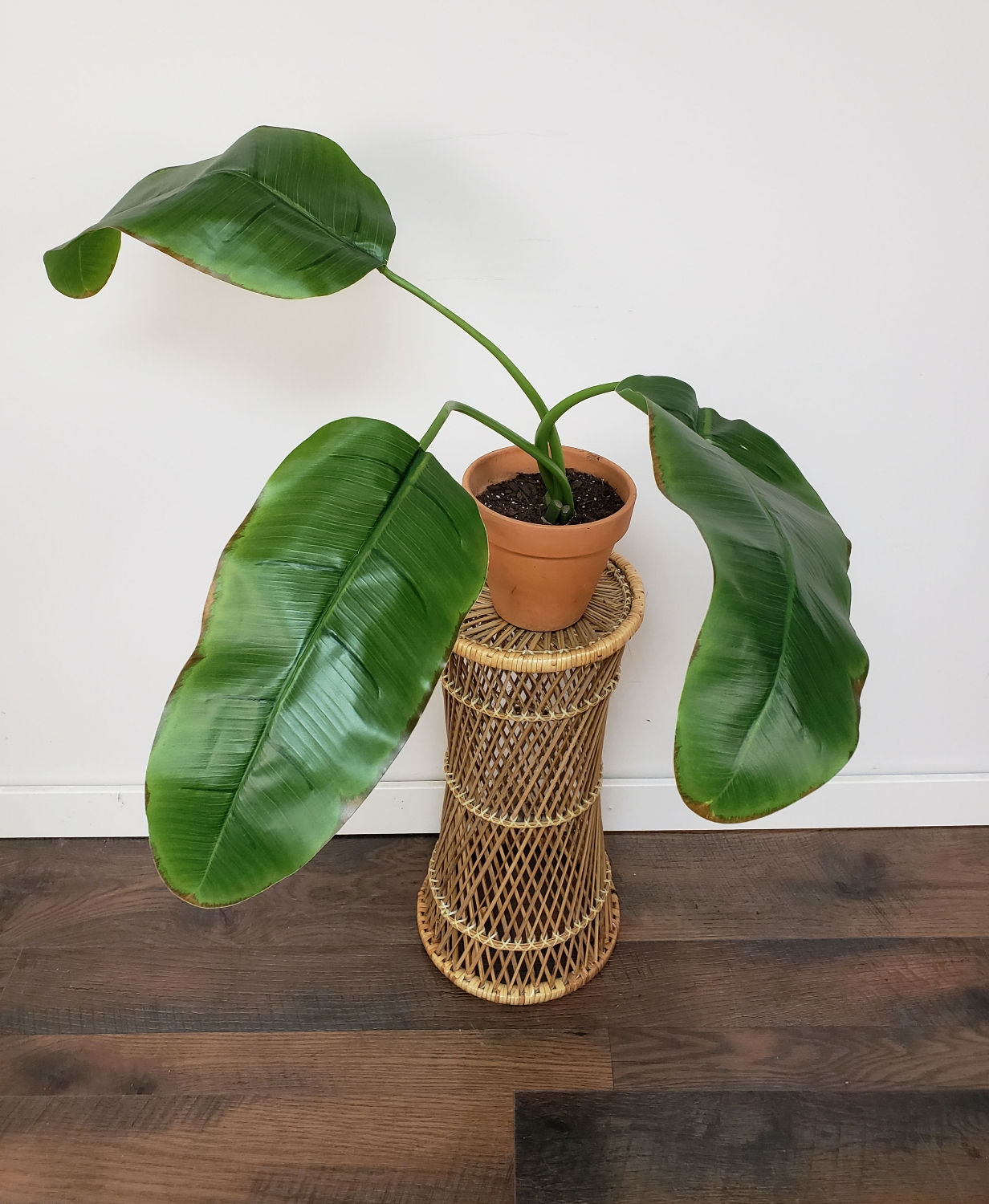 Rattan Plant Stand 