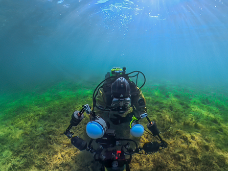Neufelder See – Licht, Stille und die Begegnung mit den Barschen