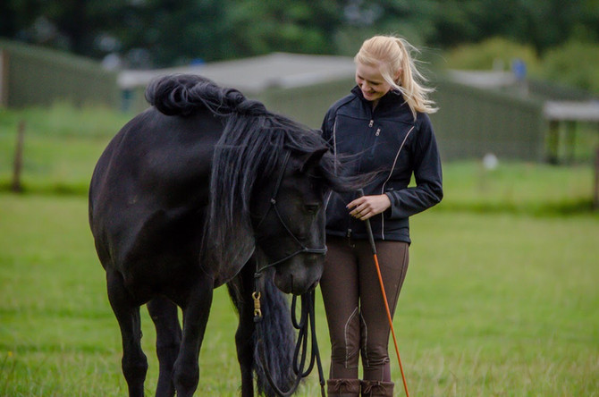 Every Equestrian - Naomi Leach