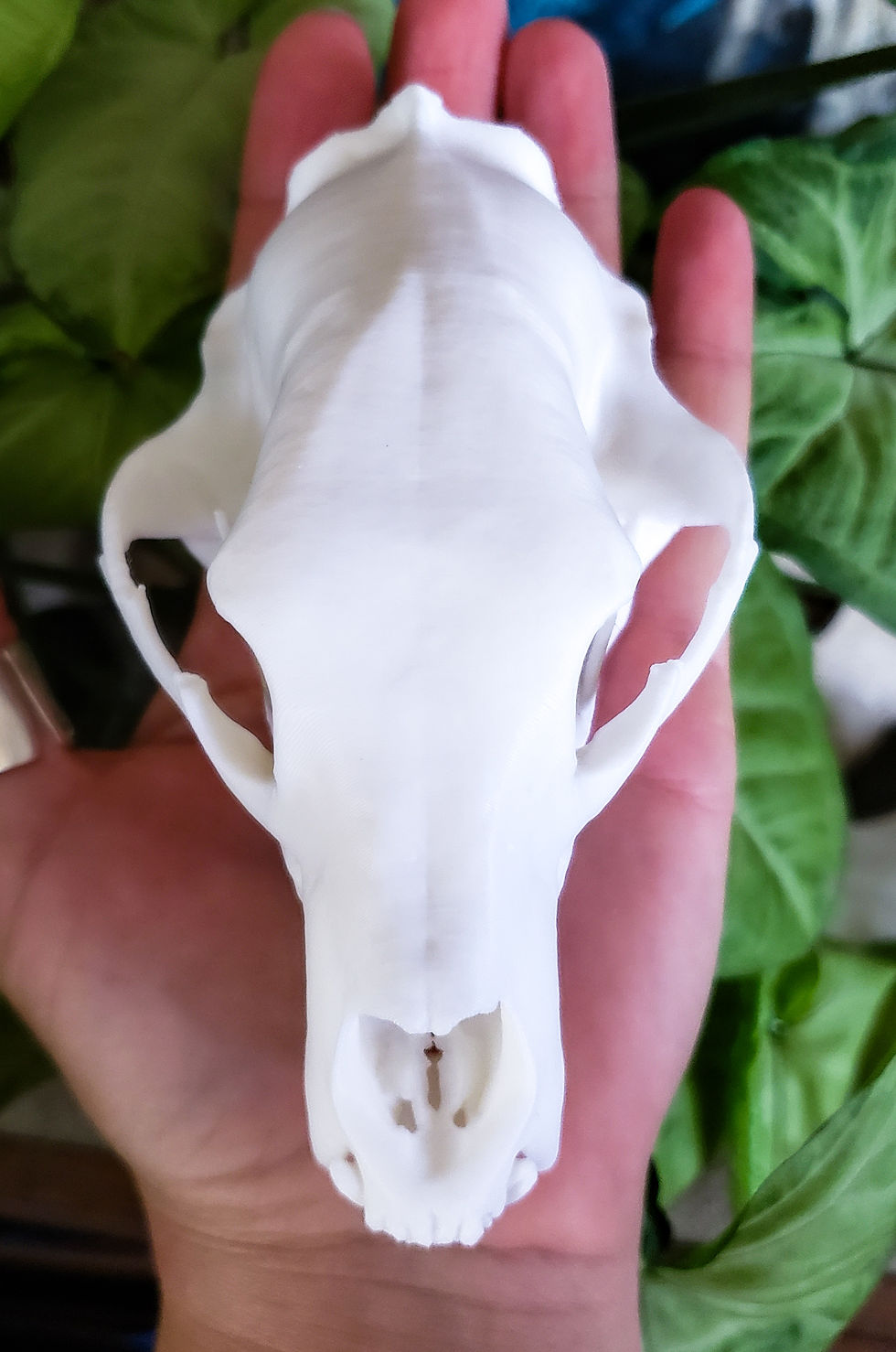 Thumbnail: Mini Black Bear Replica