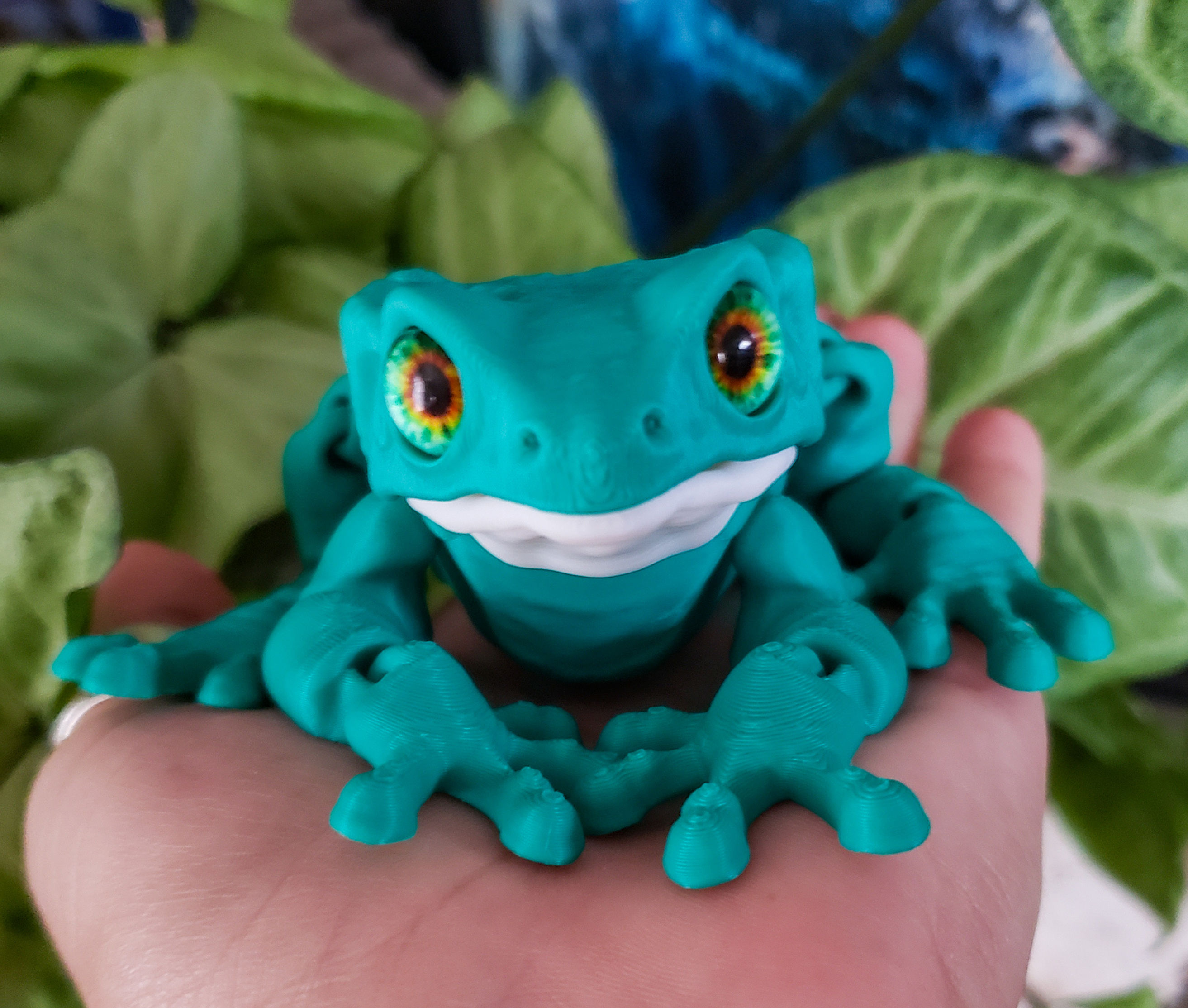 Medium Waxy Tree Frog 