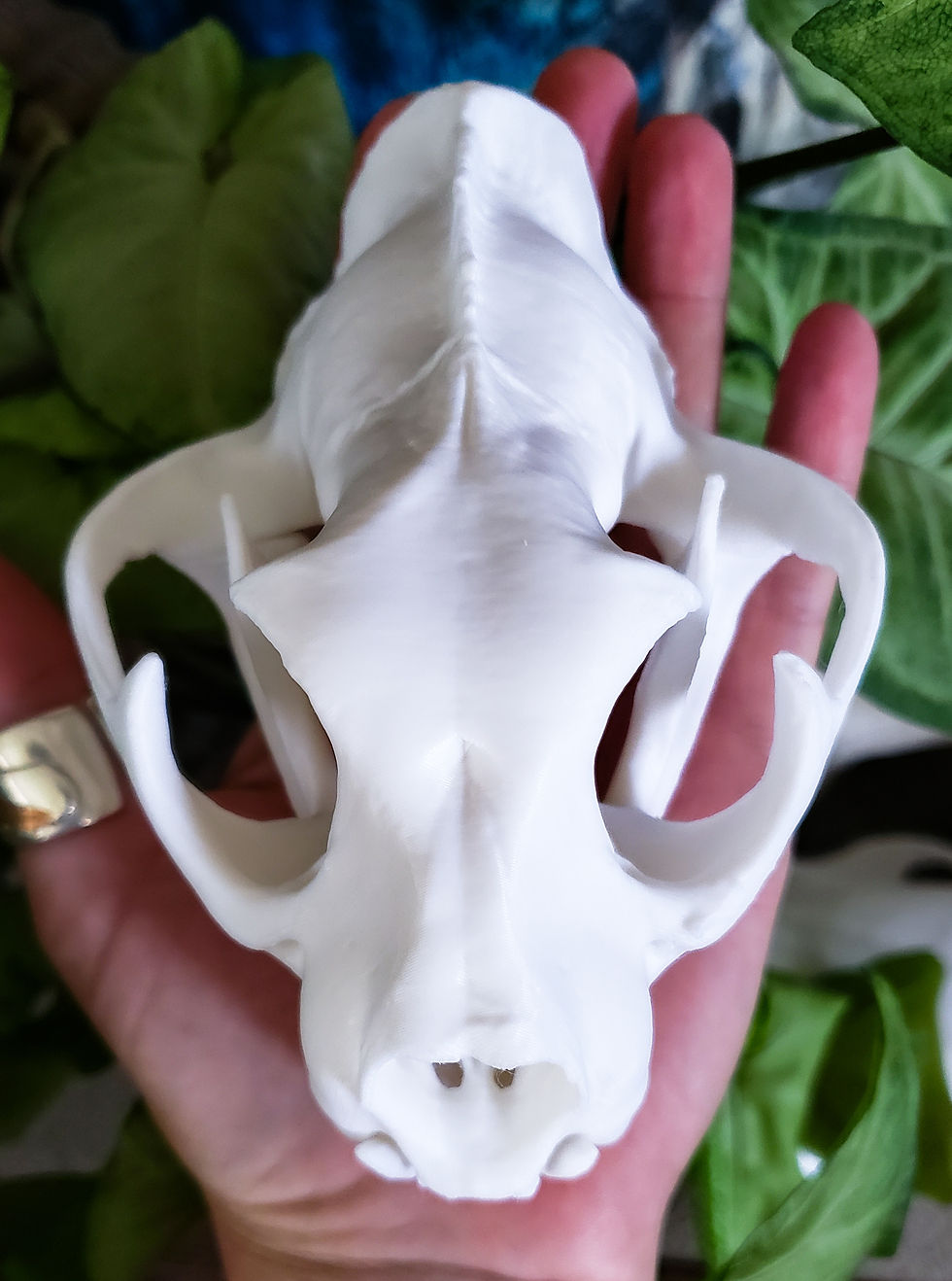 Thumbnail: Mini Mountain Lion Replica 