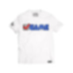 CHECK GAME • Tee (Blue Logo)