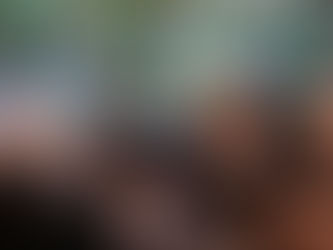 Recipe for a Porch Oasis