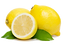 pngocean.com (3).png