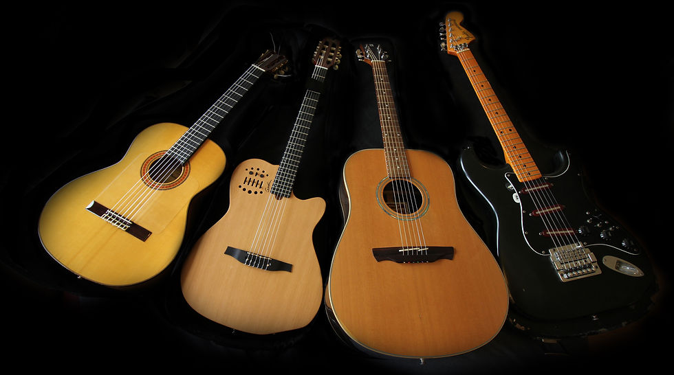 guitars D.G