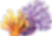 pngocean.com (42).png