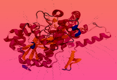 Protein motions can provide clues of their functional roles, say IISc scientists