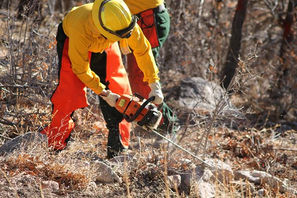 Colorado Wildfire Prevention Tips Every Homeowner Needs to Know