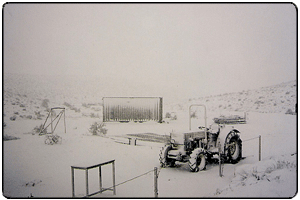 La première neige