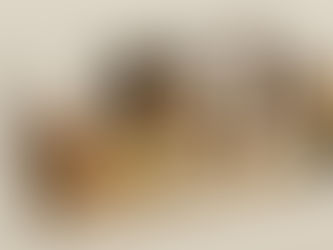 The Unparalleled Advantage of Building Customized ADUs in California