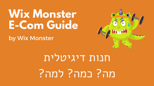 חנות דיגיטלית - מה? למה? כמה?