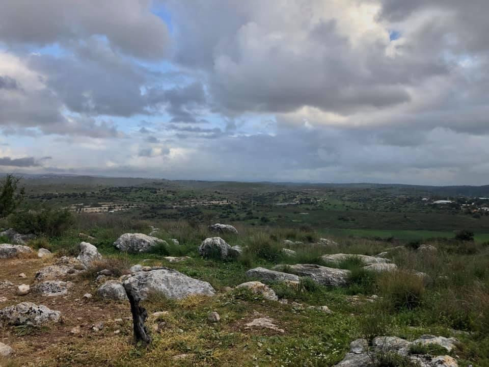 דרור שגב - עולם האמת