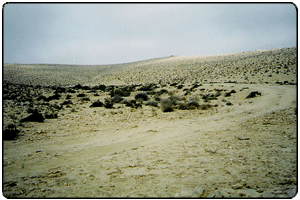 Route de terre qui mène à la ferme