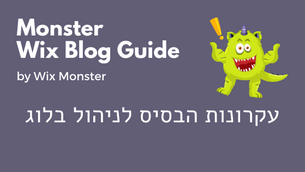 עקרונות הבסיס לניהול בלוג