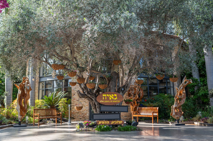 גאיה חתונות תחת כיפת השמיים