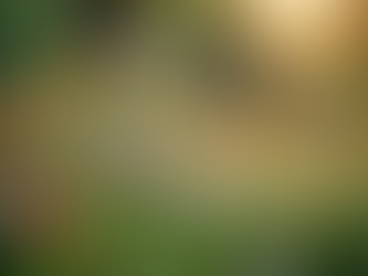 Essential Budget-Friendly Home Maintenance Tips for UK Homeowners