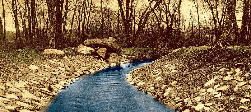 PineTreeBrook 1906 web_HDR.jpeg