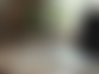 Switch to Utility Warehouse Broadband for Reliable Connectivity and Savings