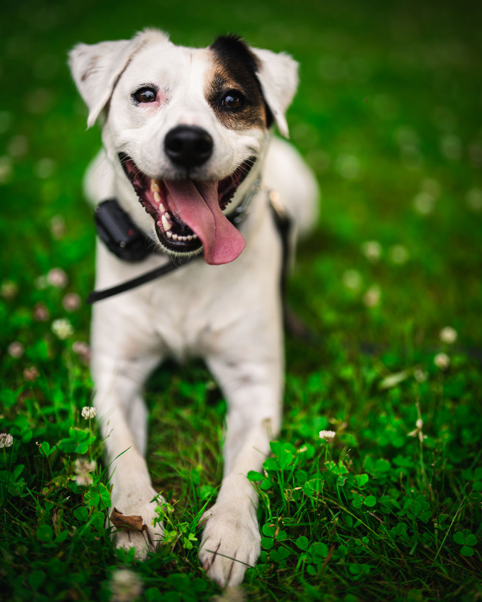 lifestyle photography, lifestyle, photographer, connecticut photographer, connecticut, photography