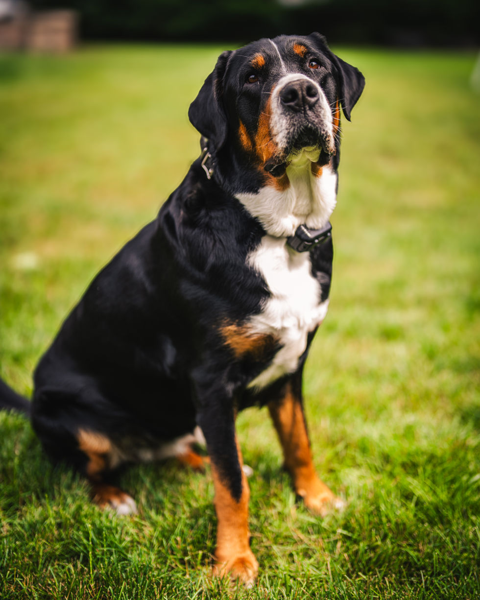 lifestyle photography, lifestyle, photographer, connecticut photographer, connecticut, photography