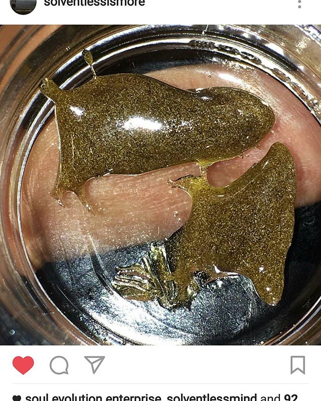 Beautiful #greasepuddle shot by the homie _solventlessismore of our #superglue 73u #wpff #freezedrie