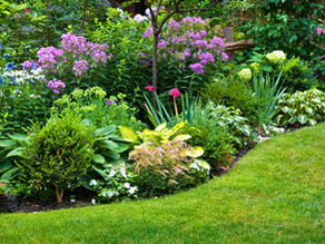 Angoli fioriti con le Piante Perenni