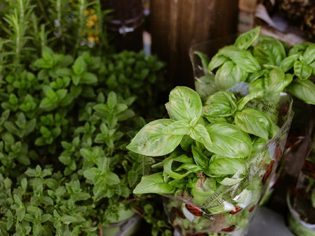 Aromatiche: profumi, sapori e carattere per il tuo giardino e la tua cucina