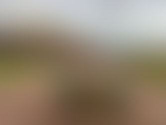 Nordic Walking in Malvern - The Power of the Poles