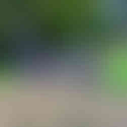 Nordic Walking Malvern | Malvern Hills Workshops & Group Walks