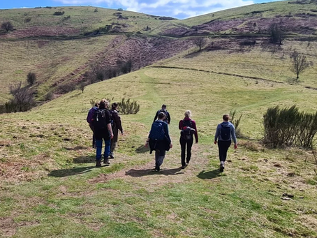 Take a walk in nature.