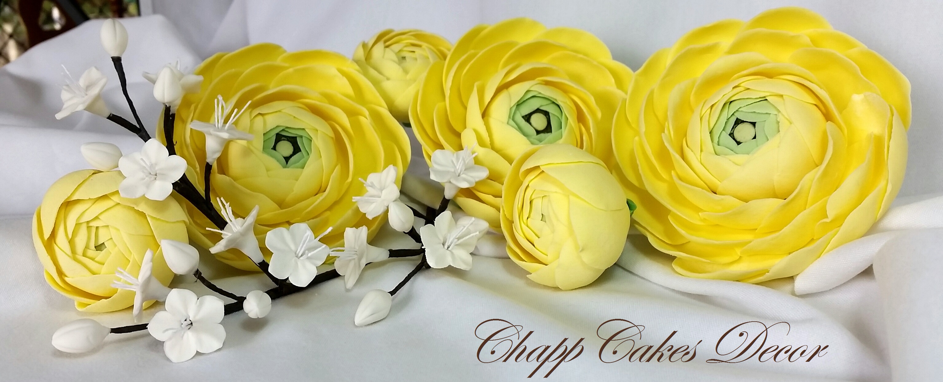 chappcakes decor custom cakes