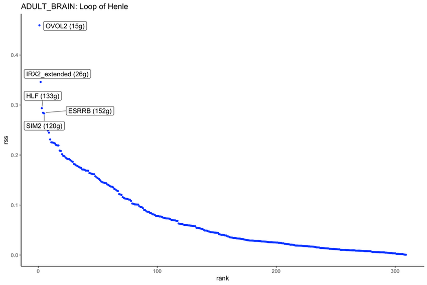 ADULT_BRAIN_Loop of Henle _RSS_REGULON_SPECIFICITY_SCORE_RANKING.png